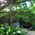 【これはひどい】沖縄戦「集団自決」の壕チビチリガマが荒らされ、遺骨や遺品、折り鶴などが破壊される「歴史あざ笑う卑劣な行為」遺族ら落胆と憤慨！